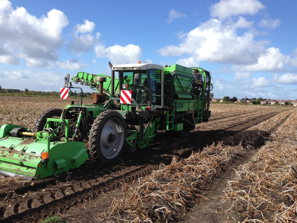 IMG_0546 2005 AVR Mistral